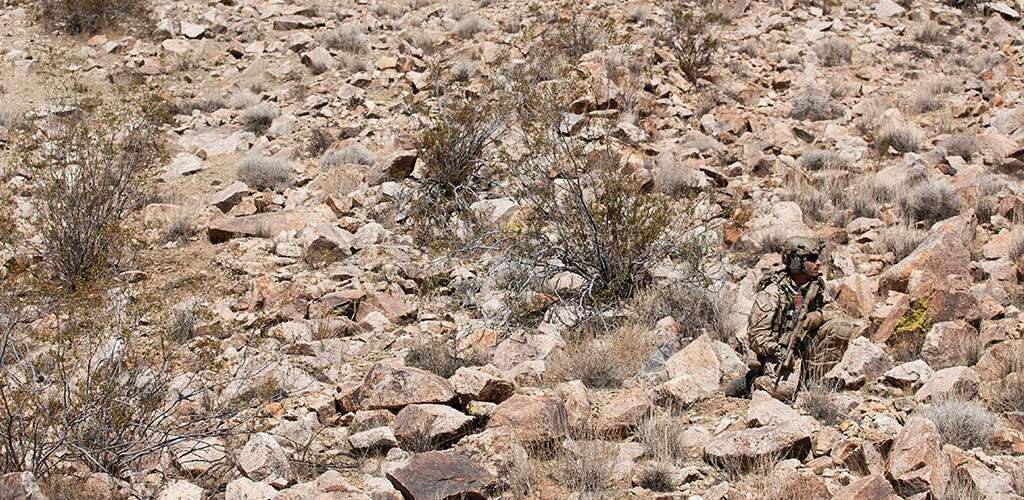 Multicam Arid