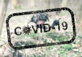 COVID-19 i Forsvaret