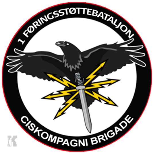 1. Føringsstøttebataljon – CIS BDE