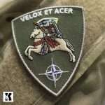 Multinational Division North